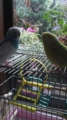 20101126103400