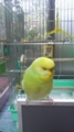 20101128091800