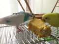 20130824145046