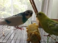 20130824145052