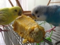 20130824145438