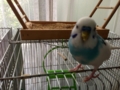 20130824145517