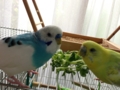 20130831112350