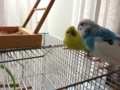 20130831112750