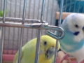 20140105101850