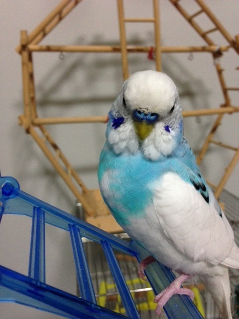 f:id:tenmusubi:20141023191710j:image