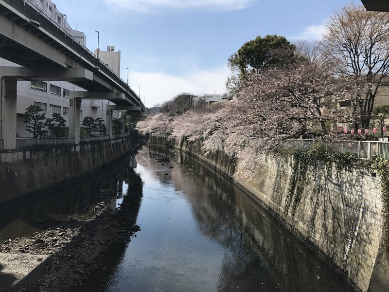f:id:tennensui-77:20180115123000j:plain f:id:tennensui-77:20180115123000j:plain