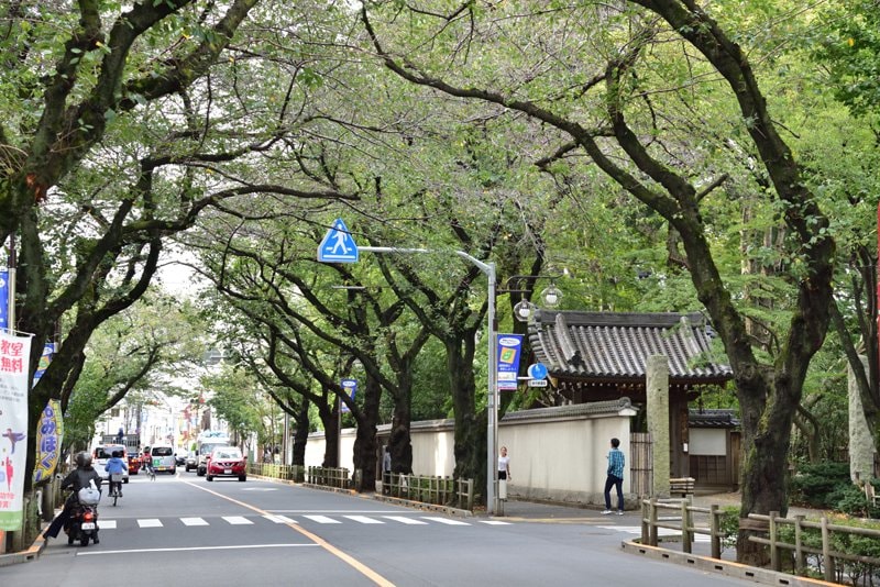 f:id:tennensui-77:20180116191443j:plain f:id:tennensui-77:20180116191443j:plain