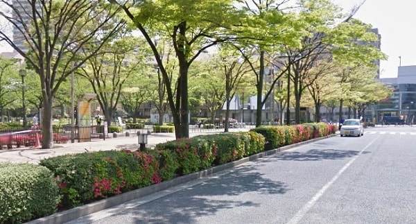 f:id:tennensui-77:20180725185153j:plain f:id:tennensui-77:20180725185153j:plain