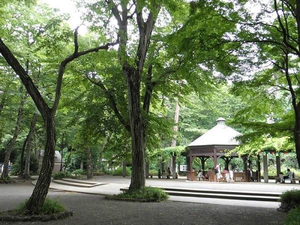 f:id:tennensui-77:20180726120105j:plain f:id:tennensui-77:20180726120105j:plain