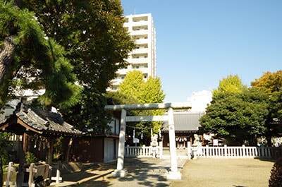 f:id:tennensui-77:20180726120616j:plain f:id:tennensui-77:20180726120616j:plain
