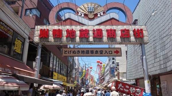 f:id:tennensui-77:20180726122257j:plain f:id:tennensui-77:20180726122257j:plain