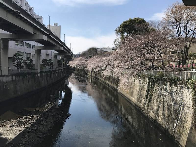 f:id:tennensui-77:20180726122420j:plain f:id:tennensui-77:20180726122420j:plain