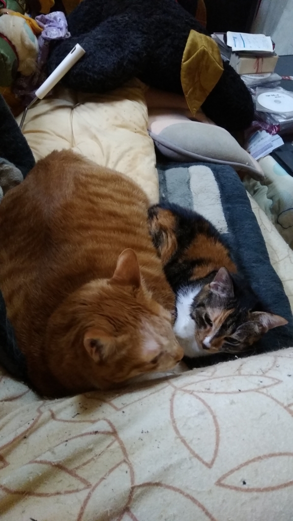 f:id:tennetimadoko:20170301025411j:plain