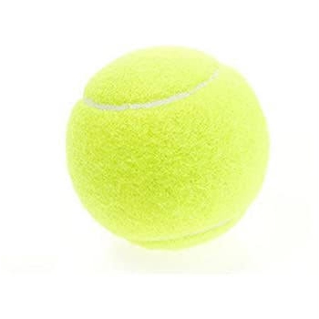 f:id:tennis_d:20210305112951j:image