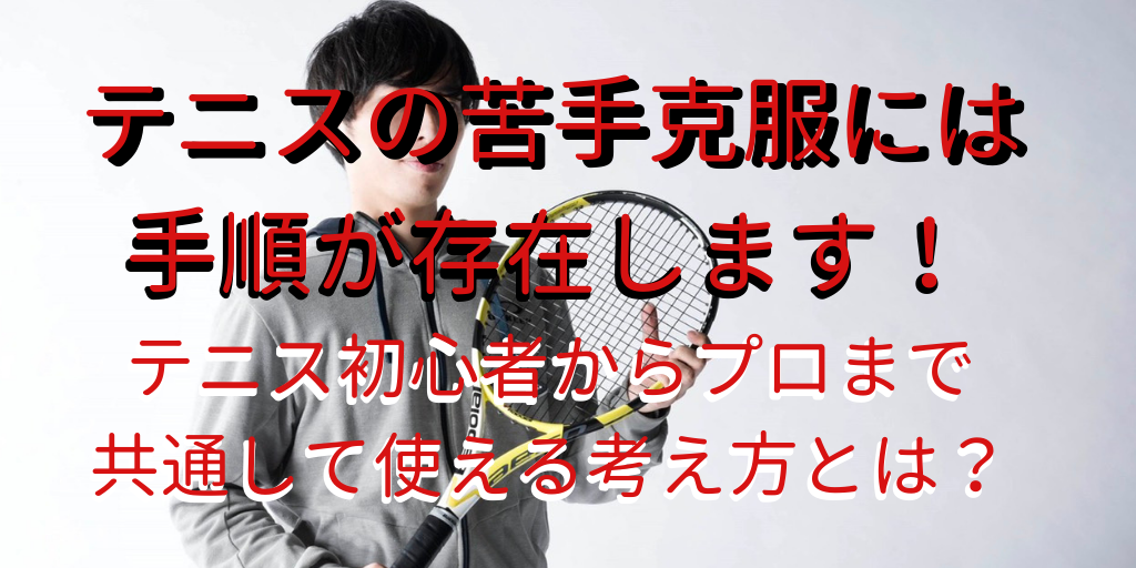 f:id:tennistennis1031:20190607195708p:plain