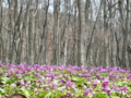 20100502111258