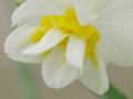 20100513120445