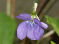20100513122646