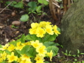 20100513122706