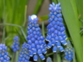 20100513122812