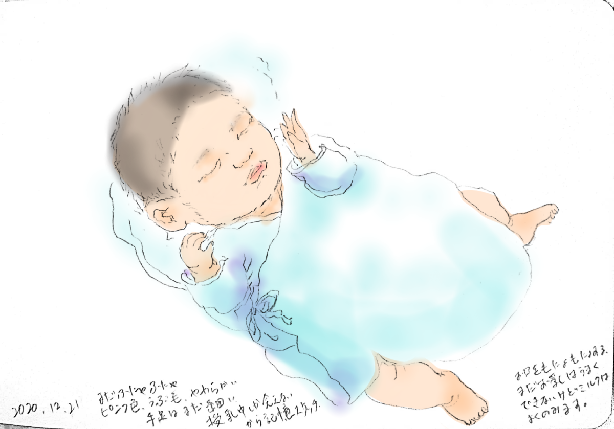 f:id:tenohirasketch:20210509170610p:plain
