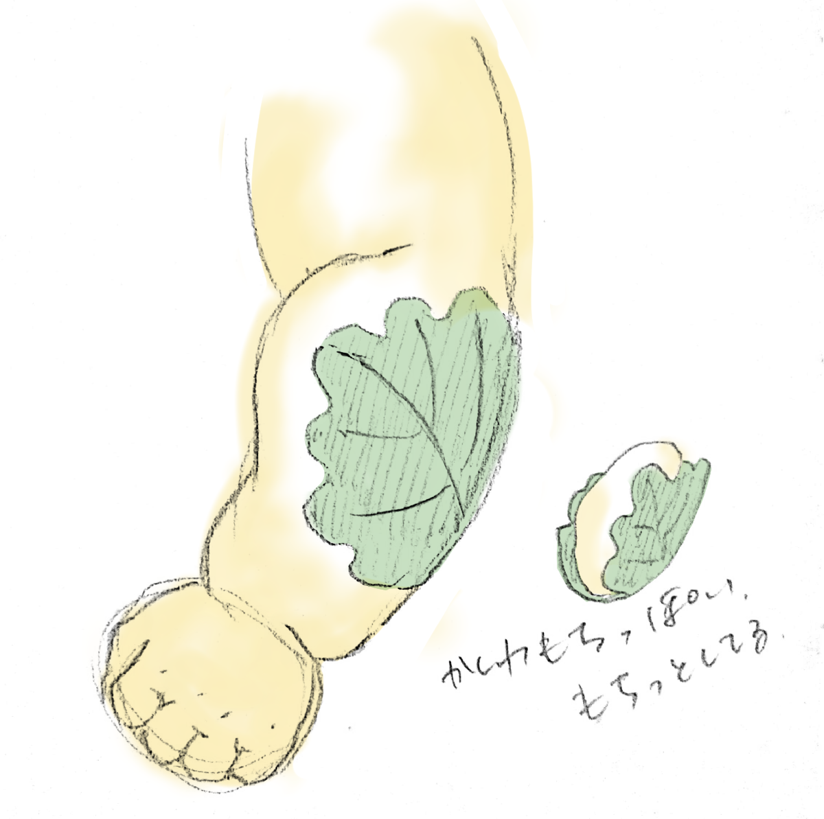 f:id:tenohirasketch:20210512073223p:plain