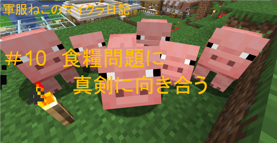 軍服ねこの生活メモ