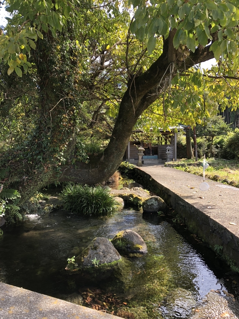 f:id:tenoyoru623:20190207163847j:plain f:id:tenoyoru623:20190207163847j:plain