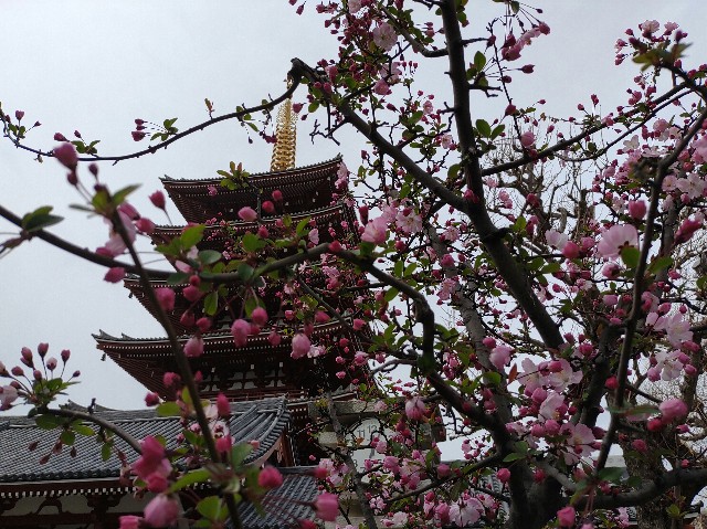 f:id:tenpamama:20230406223612j:image