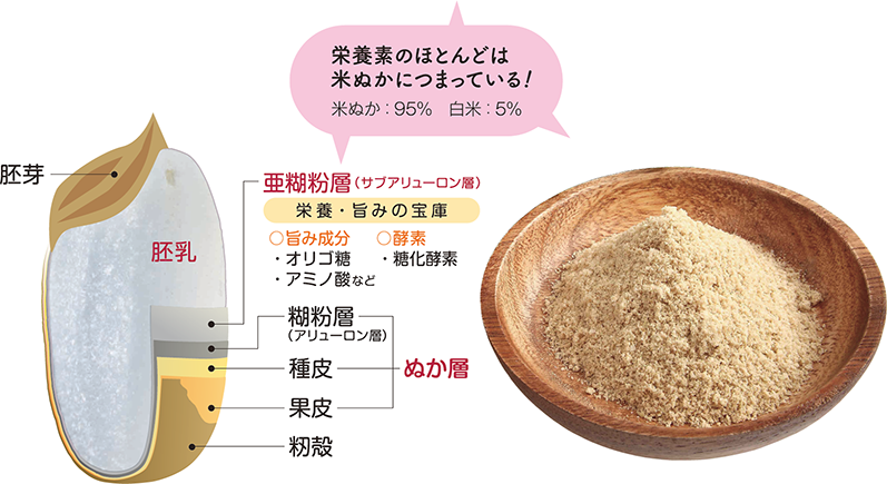 腸活が長続きしない方へ 米ぬかのすすめ いつまでも健康で美しく オーガニックの魅力にハマったスタッフ通信