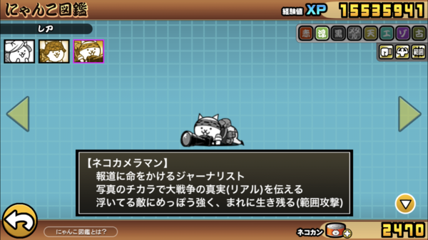 ネコカメラマン
