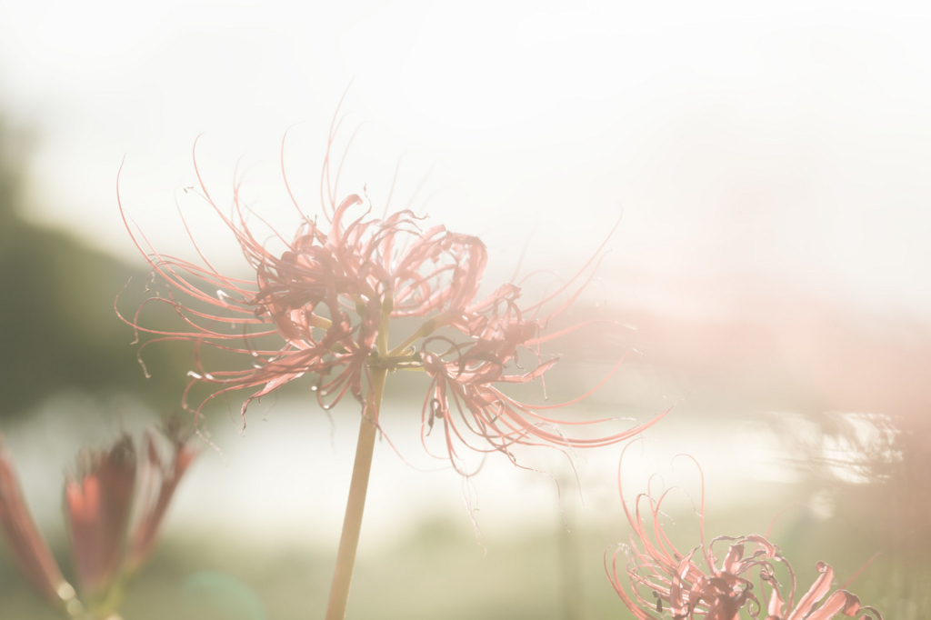 f:id:tenshokushitai:20180410192927j:plain f:id:tenshokushitai:20180410192927j:plain