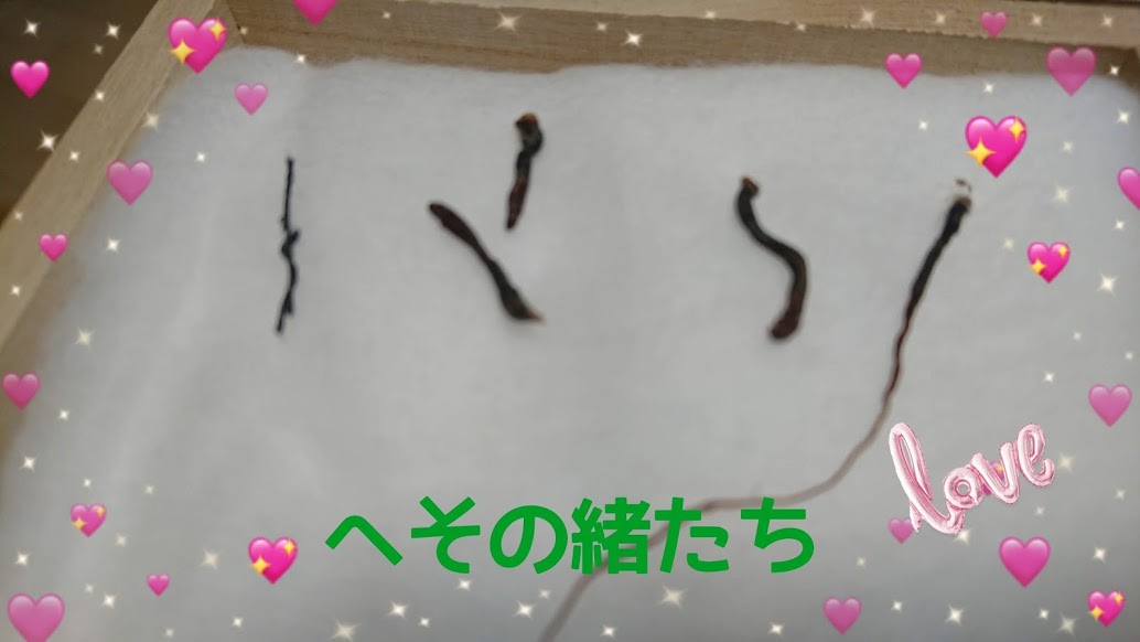 f:id:tensorafamily:20210425153806j:plain