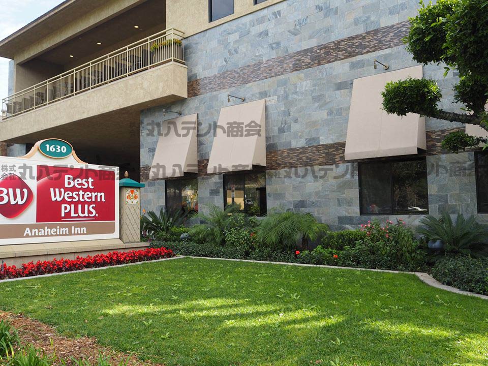 f:id:tent08:20170315084801j:plain f:id:tent08:20170315084801j:plain