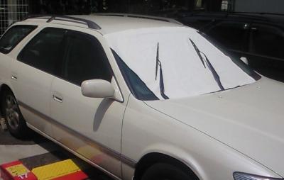 f:id:tent08:20210101191811j:plain