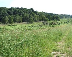 水戸草原