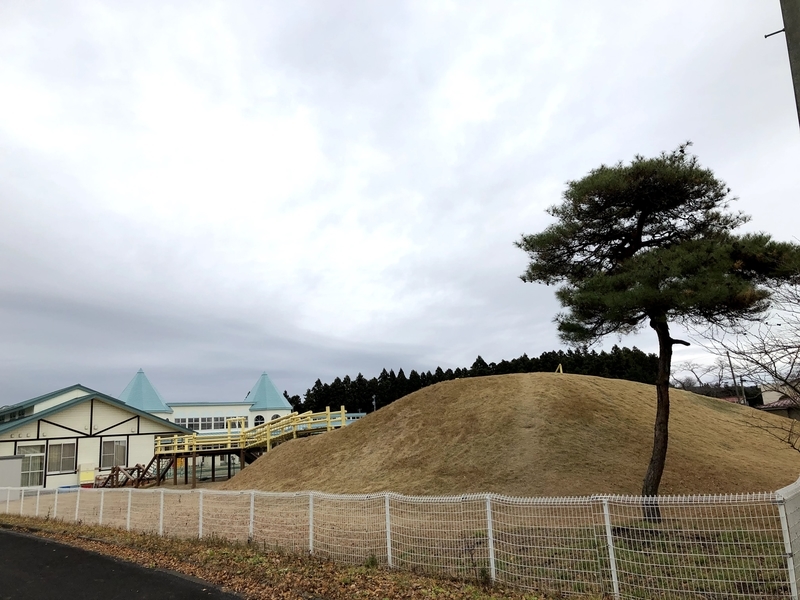 f:id:tentanpt:20201207233940j:plain