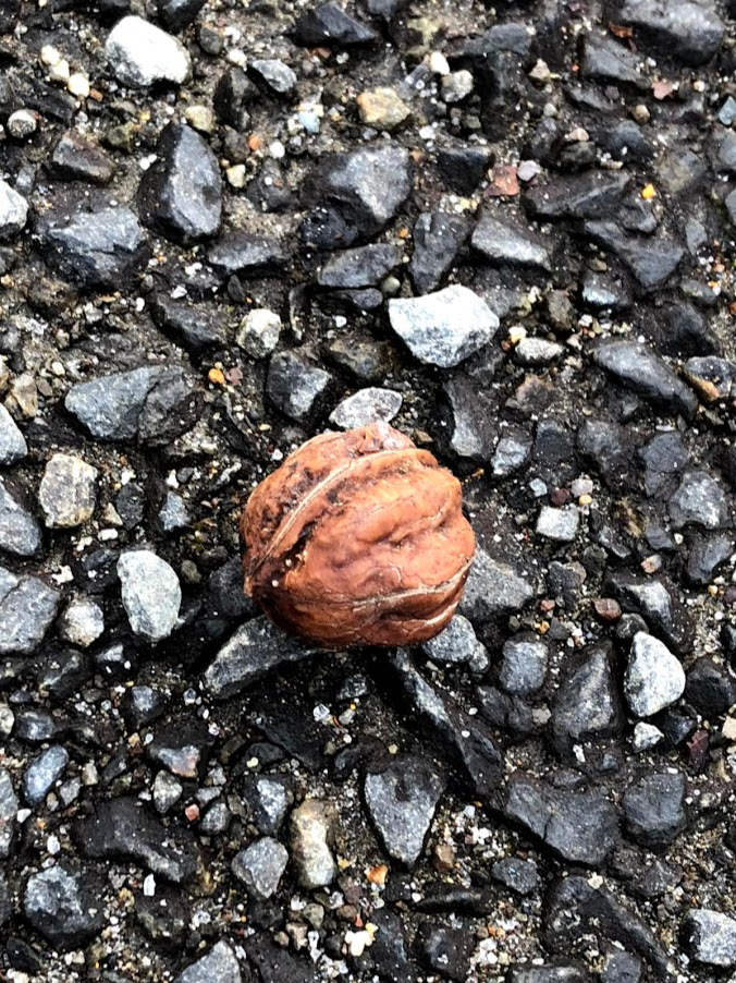 f:id:tentanpt:20201220200601p:plain