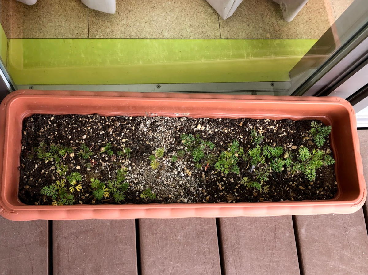 f:id:tentanpt:20201220204018p:plain