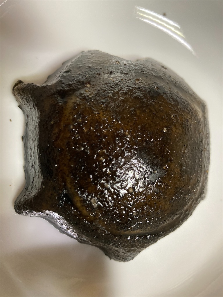 f:id:tentanpt:20210212002745j:image