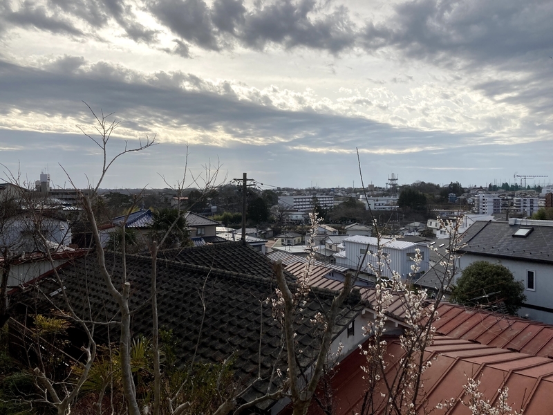 f:id:tentanpt:20210323020750j:plain