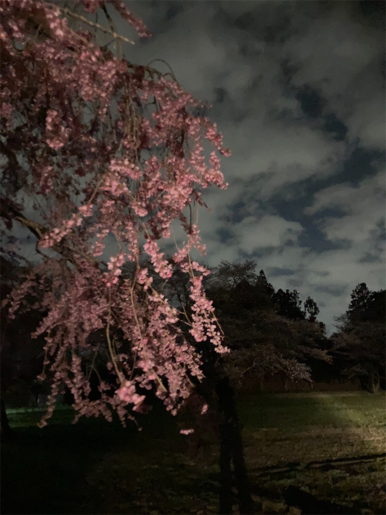 f:id:tentanpt:20210403000857j:image