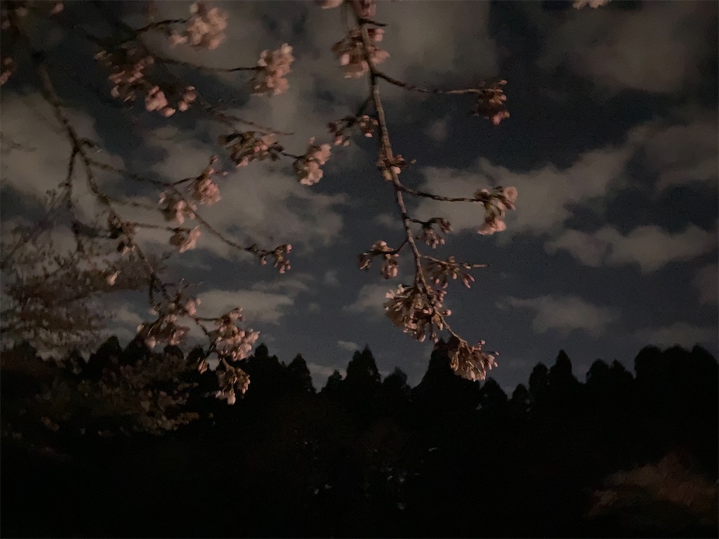 f:id:tentanpt:20210403001019j:image
