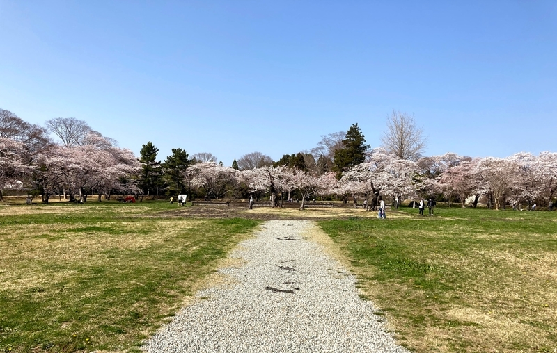 f:id:tentanpt:20210403225757j:plain