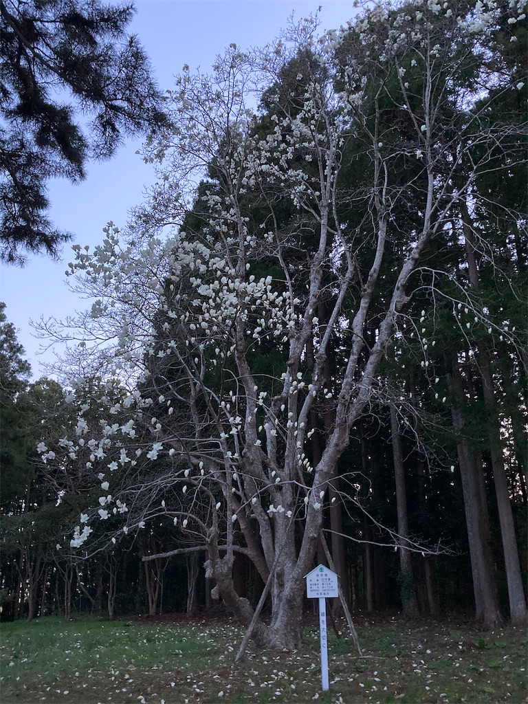 f:id:tentanpt:20210408003139j:image