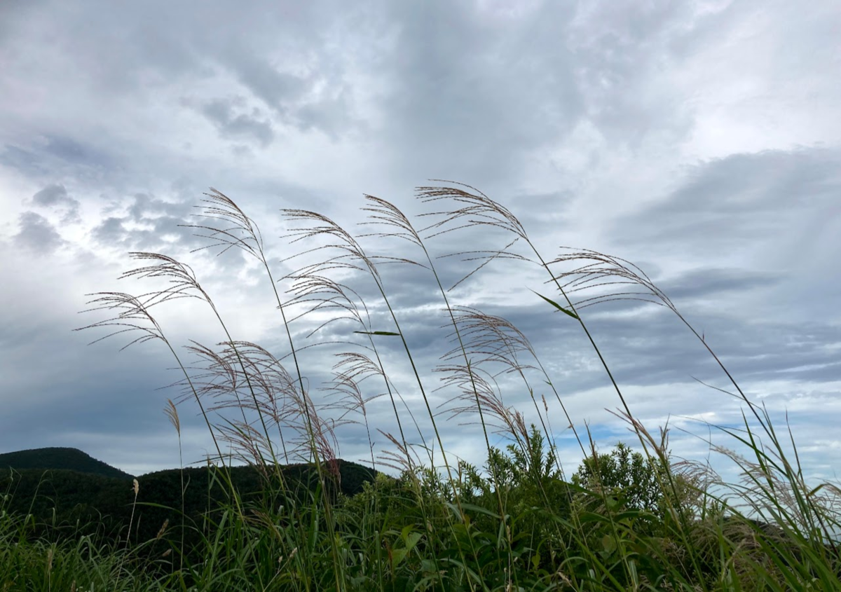 f:id:tentanpt:20210825114822p:plain