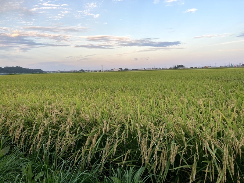 f:id:tentanpt:20210918222002j:plain