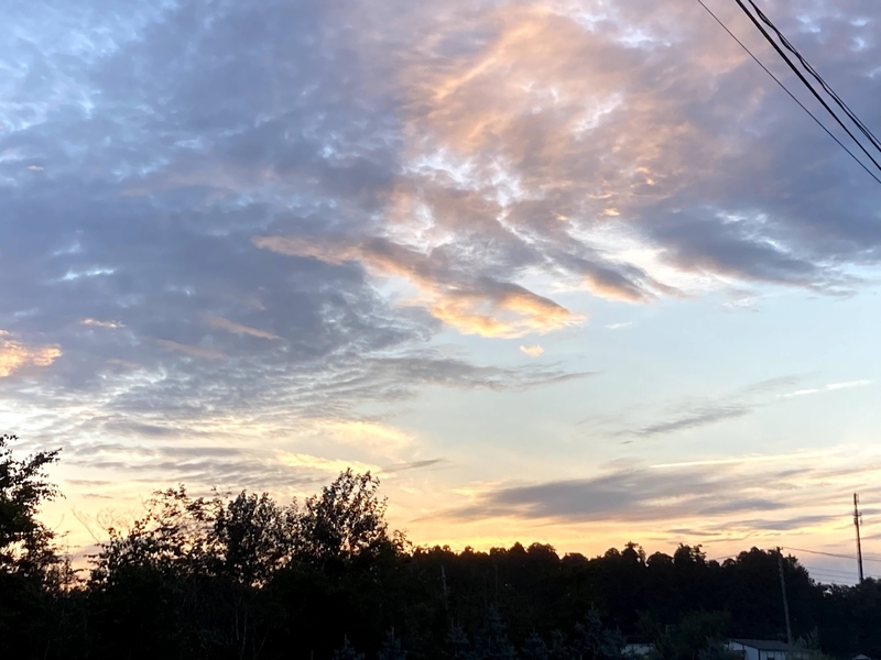 f:id:tentanpt:20210918222009j:plain