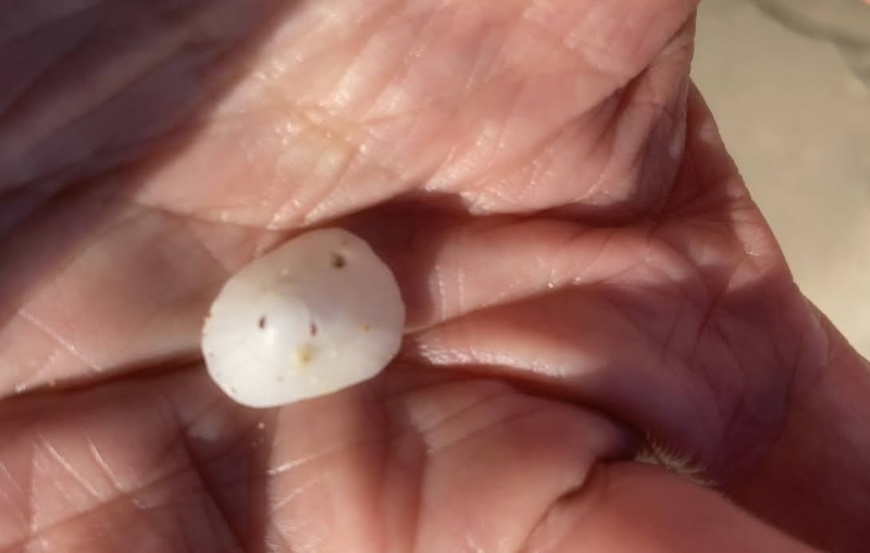 f:id:tentanpt:20210918224059j:plain